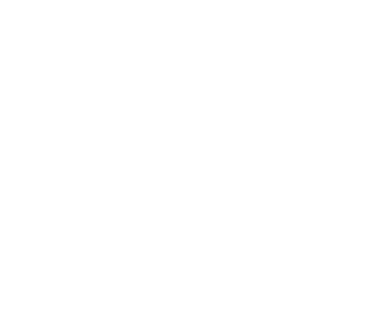 Les vélos<br>
pour vos promenades!